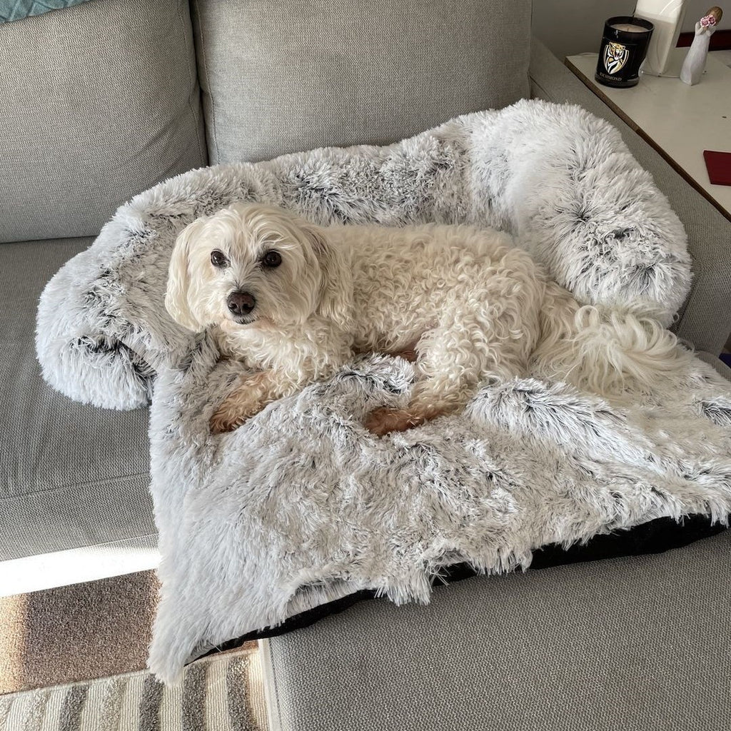 Lit Ultra Confort RoyalPets - Coussin Apaisant pour Chien