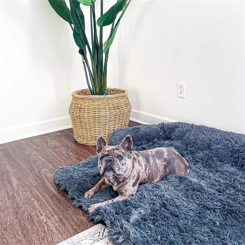 Lit Ultra Confort RoyalPets - Coussin Apaisant pour Chien
